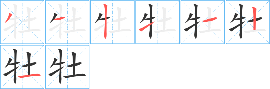 牡的筆順筆畫