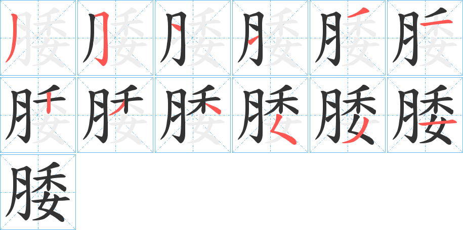 腇的筆順筆畫